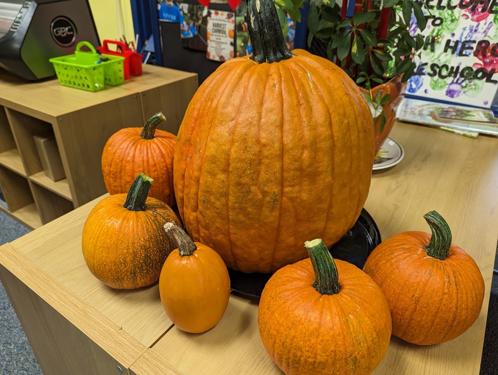 One large and five small pumpkins on a shelf.